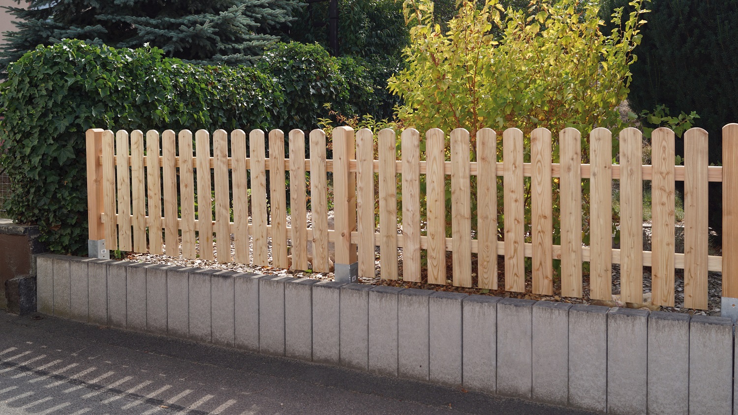 Föhr 180x100cm Lärche