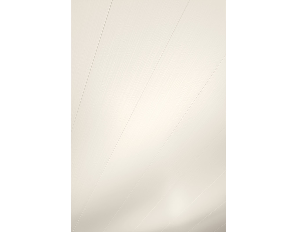 Dekorpaneele Classic Bocado 250 Streifer silber 4021