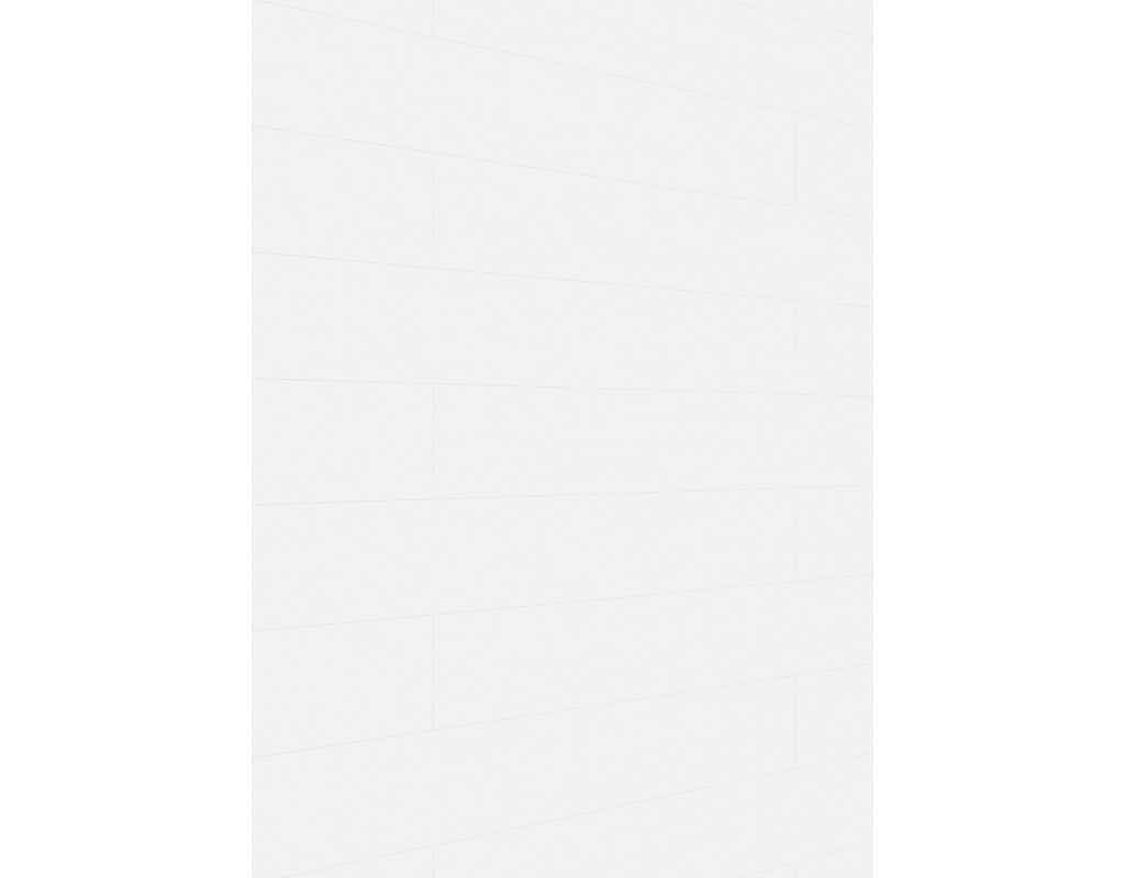 Dekorpaneele MeisterPaneele. terra DP 250 2050x250x12mm 20096 Polar white