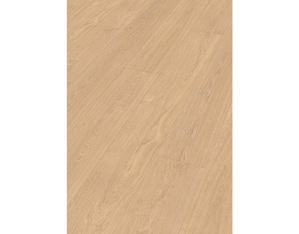 laminate LL 250 7144 Taleiche hell