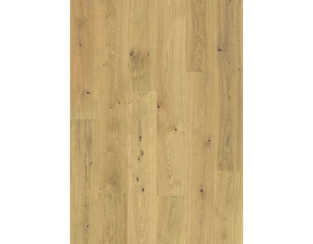 Corelan Design-Korkboden HDF Savoyer Eiche HotCoating-Lack 1815x200x11mm