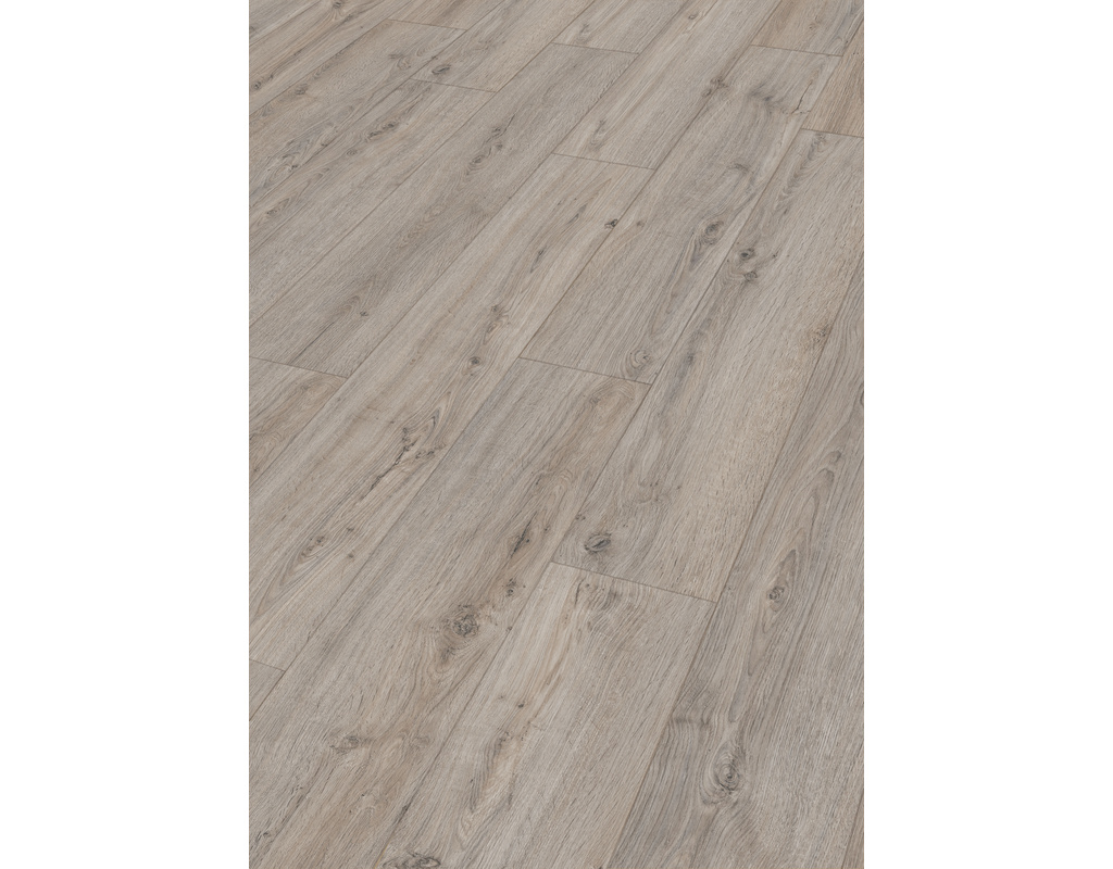 comfort DD 600 S 6889 Felseneiche