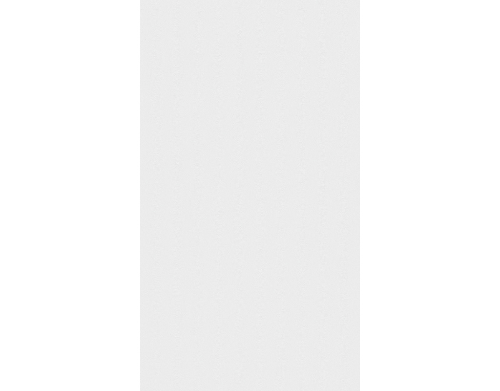 Dekorpaneele MeisterPaneele. terra DP 250 1280x250x12mm 20097 White pearl