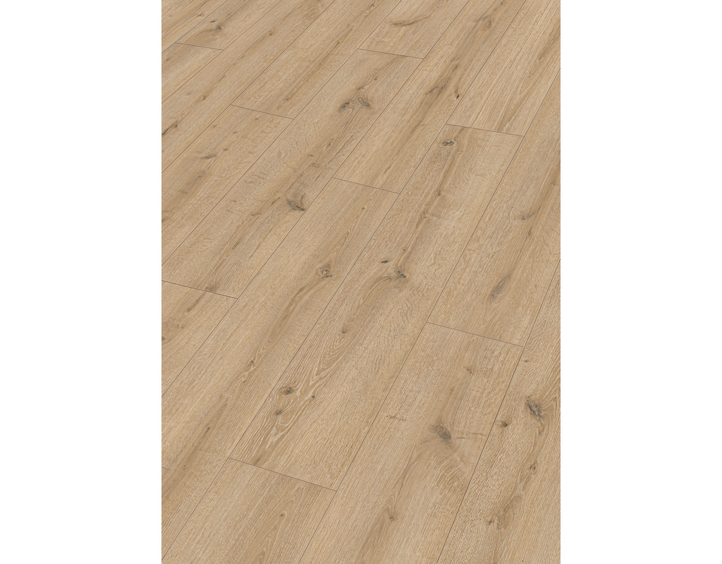 next DD 500 S 7120 Turmeiche creme