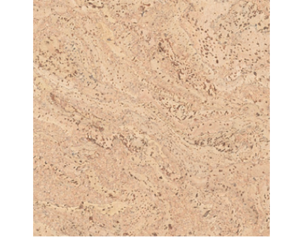 Korkplus Kork-Fertigparkett HDF Salsa creme Hartwachs-Öl Klick-Verlegung - wohnfertig, Kl 23/31