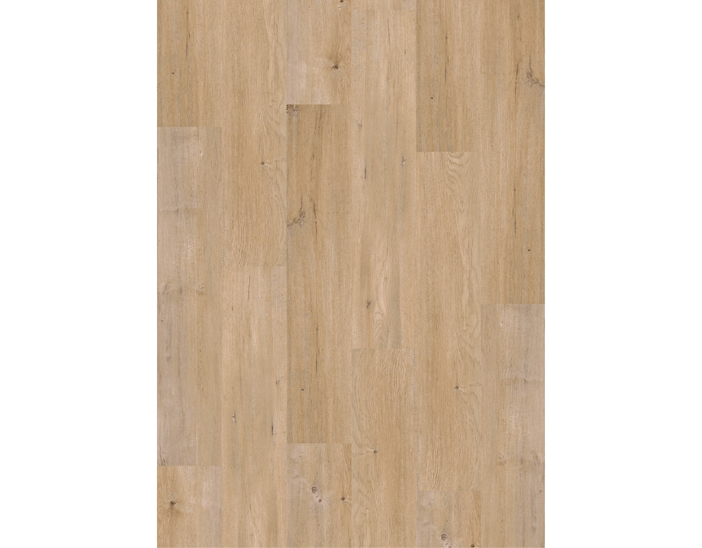 Vinyl Basic KF - Vinyl Klebefliesen Birke Ravenna Zum Verkleben, für Feuchträume, Kl23/32