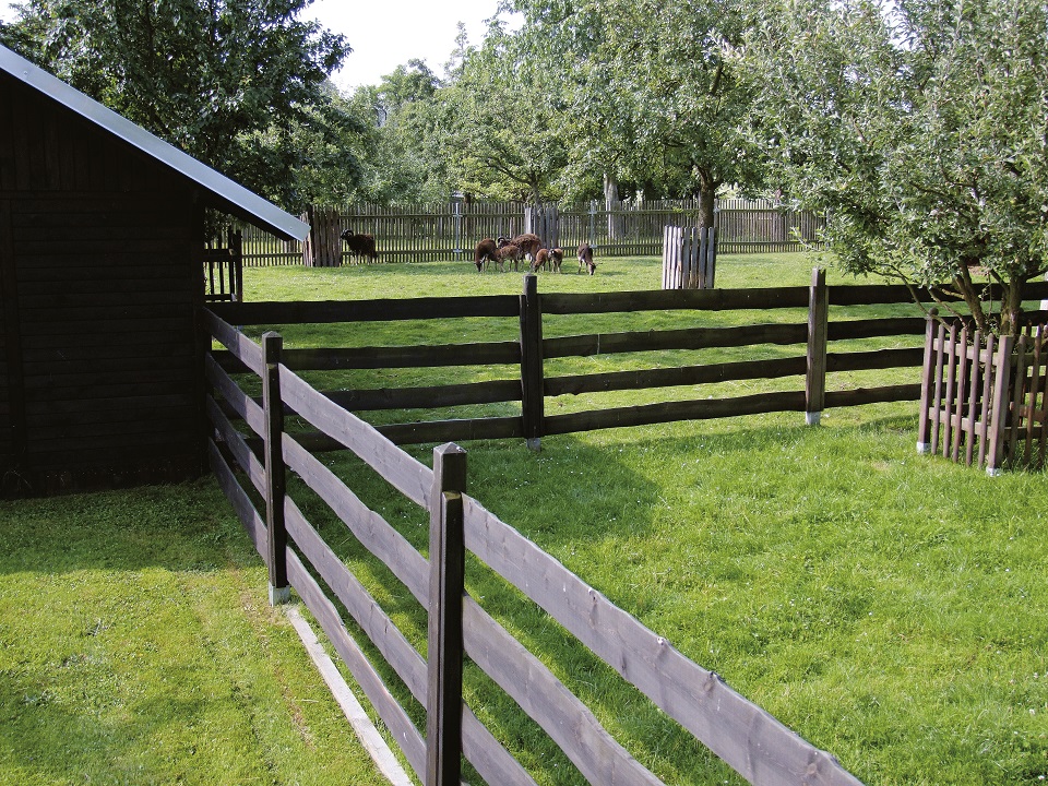 Bonazabohle Fichte/Kiefer