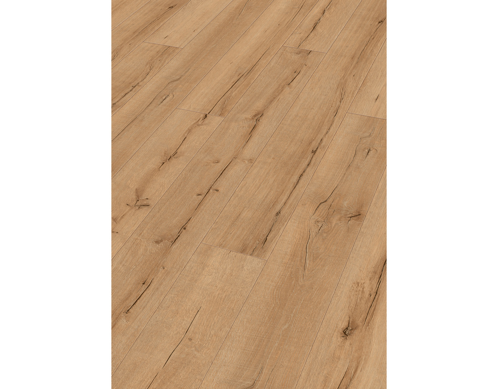 next DL 500 S 7114 Altholzeiche natur