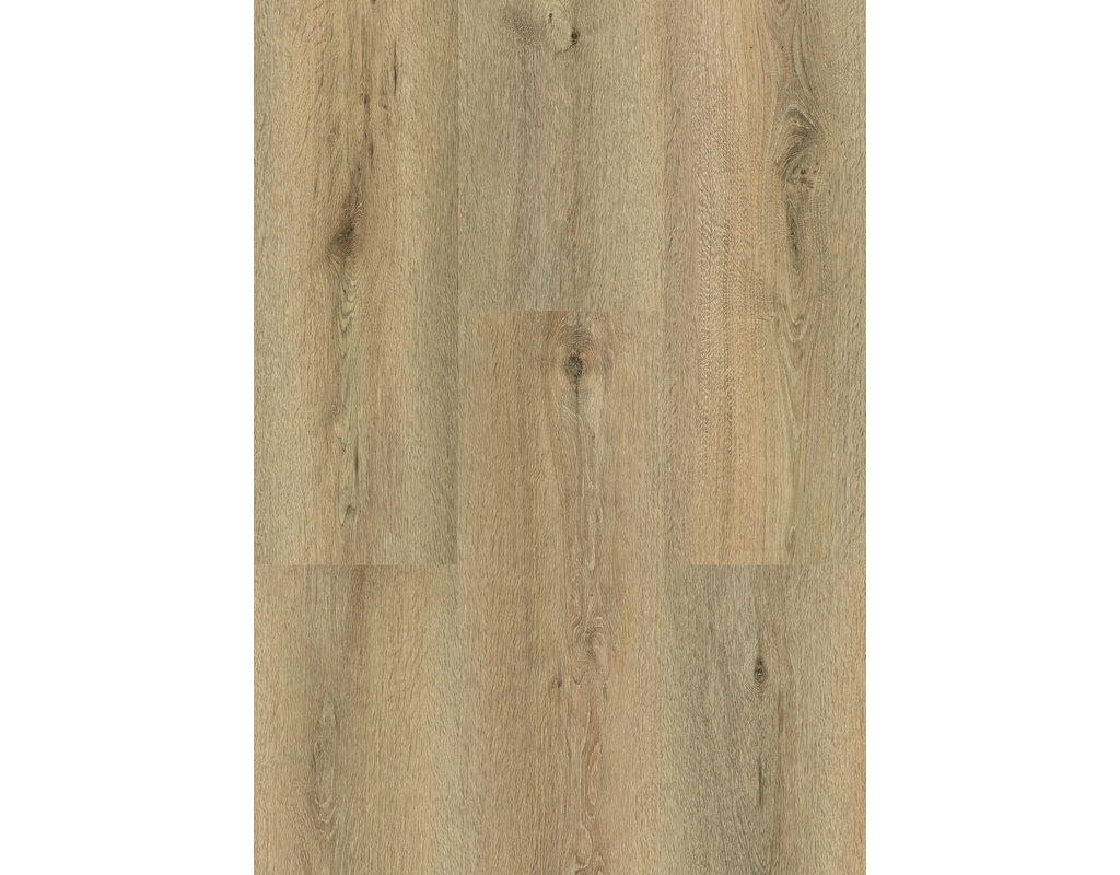 Vinylan object Vinylboden KF Tauruseiche 2,5 mm Zum Verkleben - wohnfertig, Kl 23/41