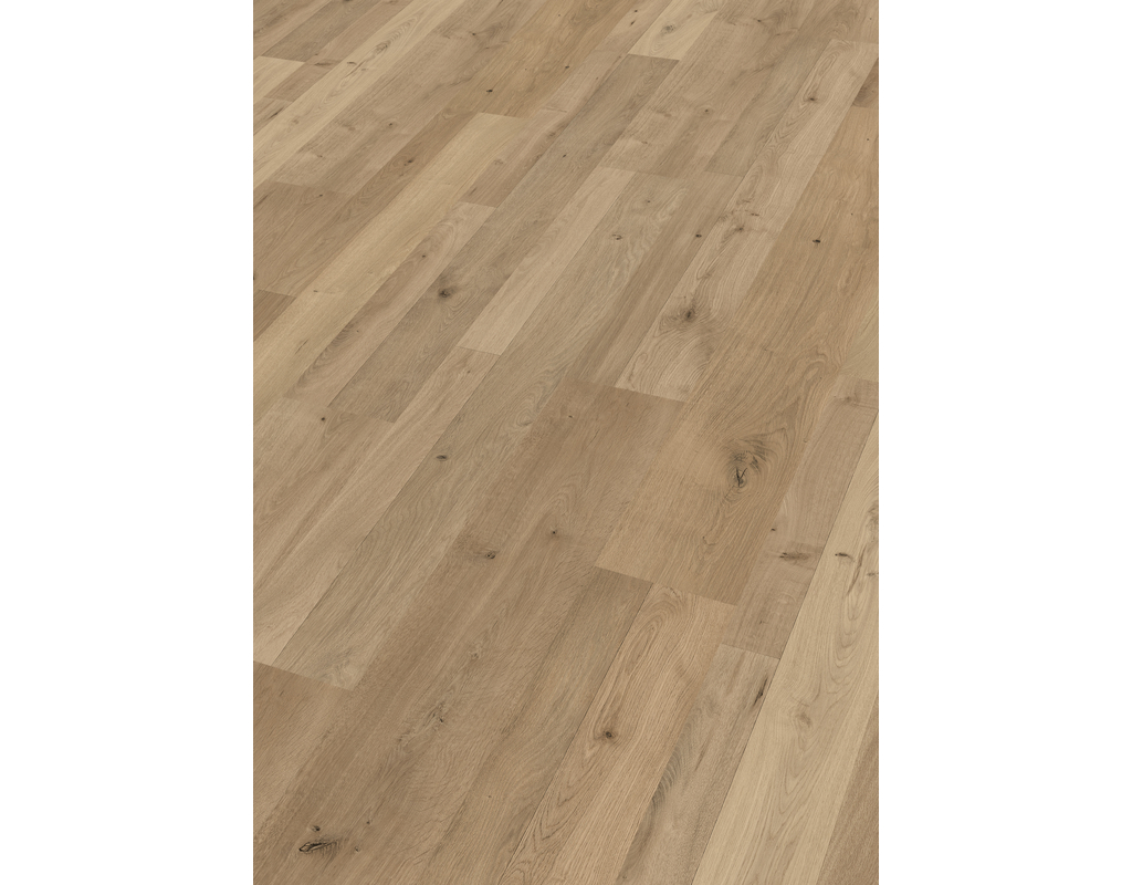 laminate LC 55 S 6675 Natural Oak