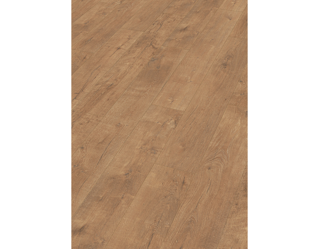 laminate LD 55 6952 Stieleiche natur