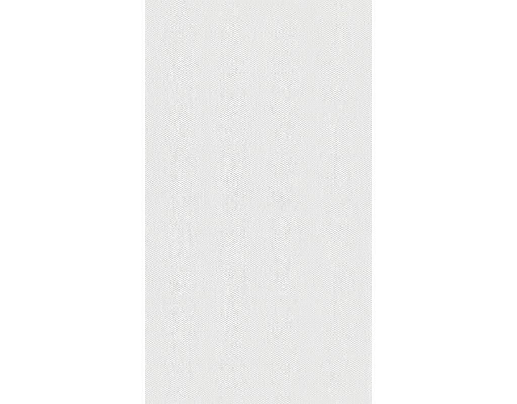 Dekorpaneele MeisterPaneele. terra DP 250 3300x250x12mm 20101 White mesh