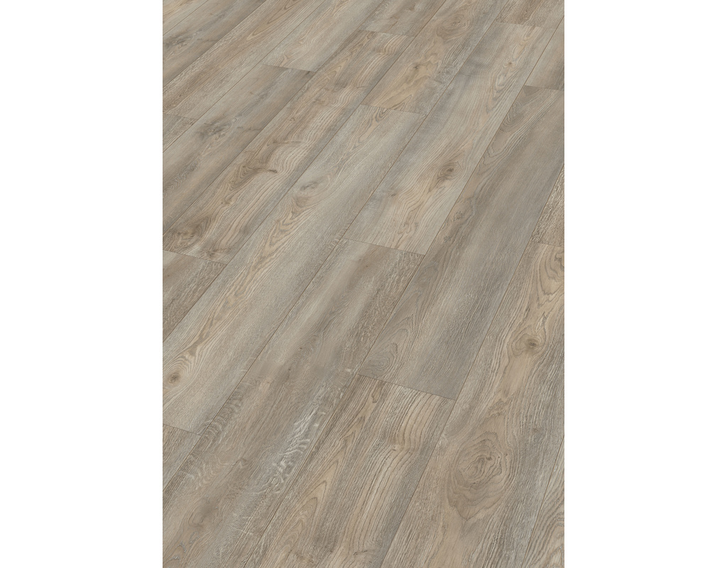 next DD 500 S 6977 Wildeiche grau
