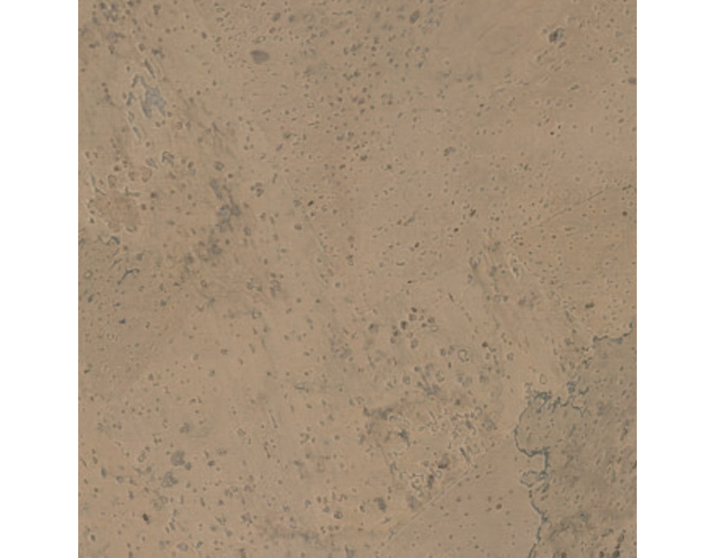 Korkplus Kork-Fertigparkett HDF Harmony sand HWÖ handfurniert - 12 x 900 x 300 mm