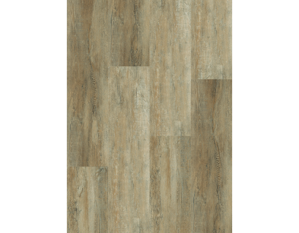 Cortica Design-Korkboden KF Eiche Primera HotCoating-Lack Zum Verkleben - wohnfertig, Kl 23/32