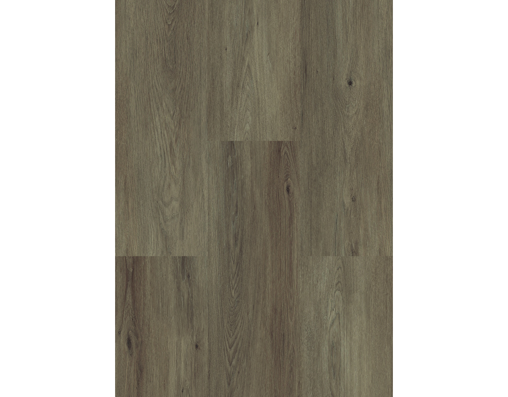 Vinylan object Vinylboden KF Moorbirke Zum Verkleben - wohnfertig, Kl 23/41