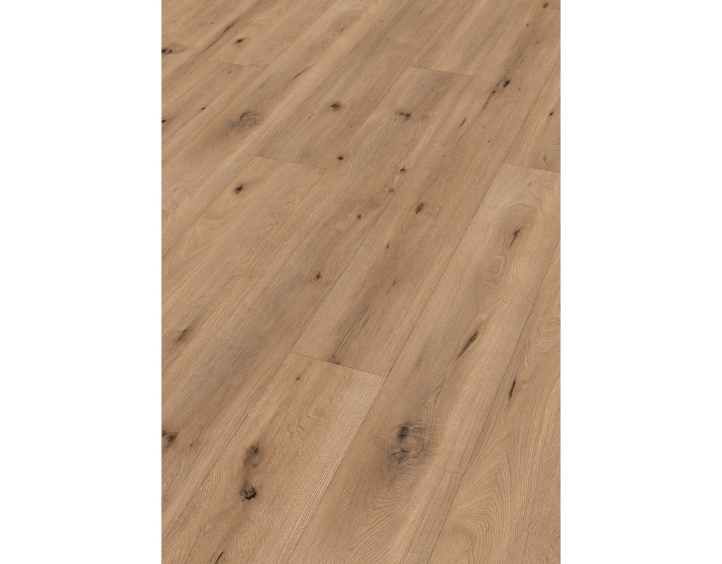 laminate LL 150 S 6843 Feldeiche hell