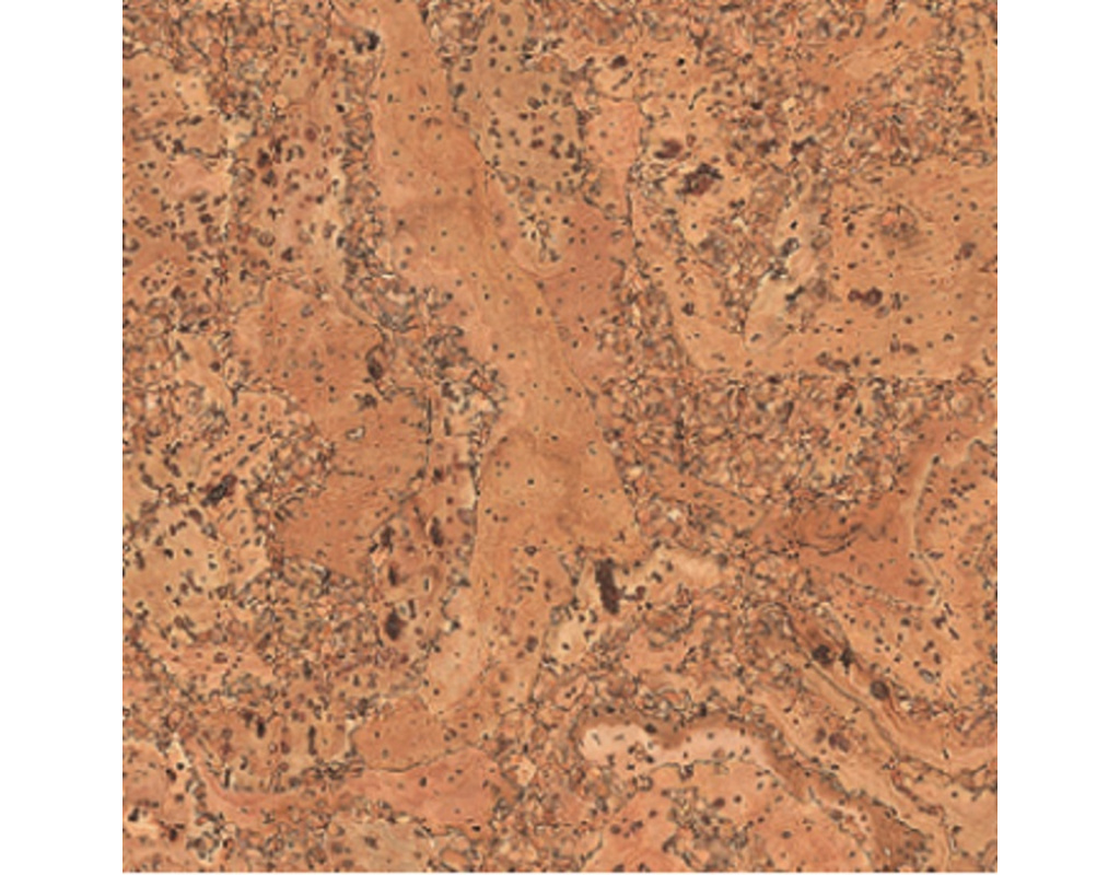 Korkplus Kork-Fertigparkett HDF Salsa Hartwachs-Öl Klick-Verlegung - wohnfertig, Kl 23/31