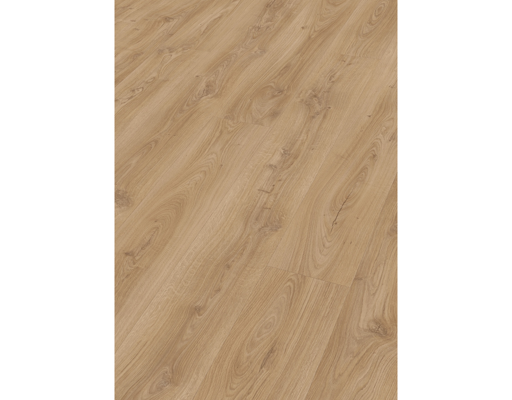 laminate LL 250 6841 Schlosseiche hell