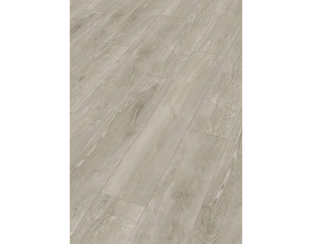 rigid  RD 300 7391 Timberwood