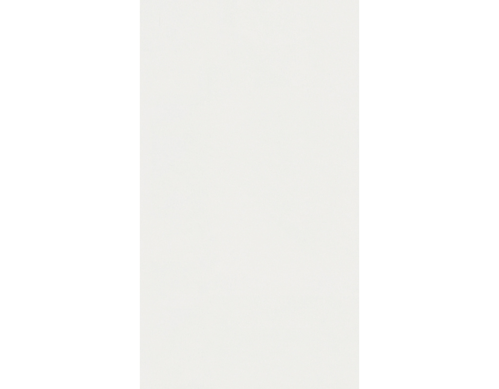 Dekorpaneele Classic Bocado 200 Uni weiß glänzend DF 324