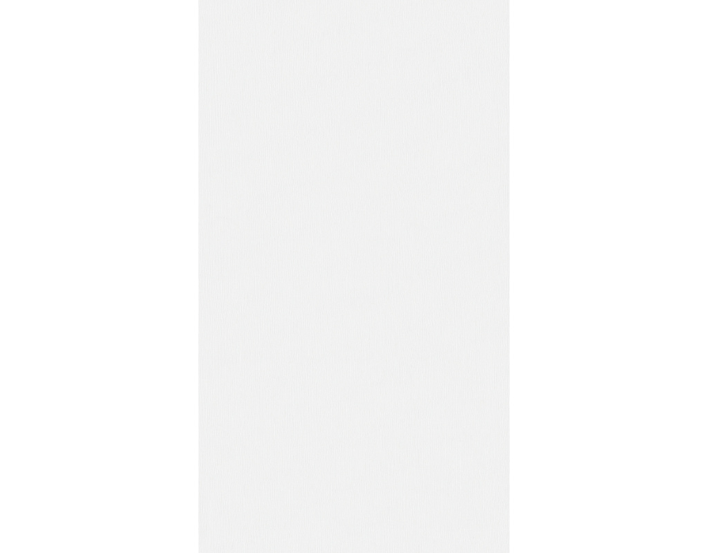 Dekorpaneele MeisterPaneele. terra DP 250 2050x250x12mm 20096 Polar white