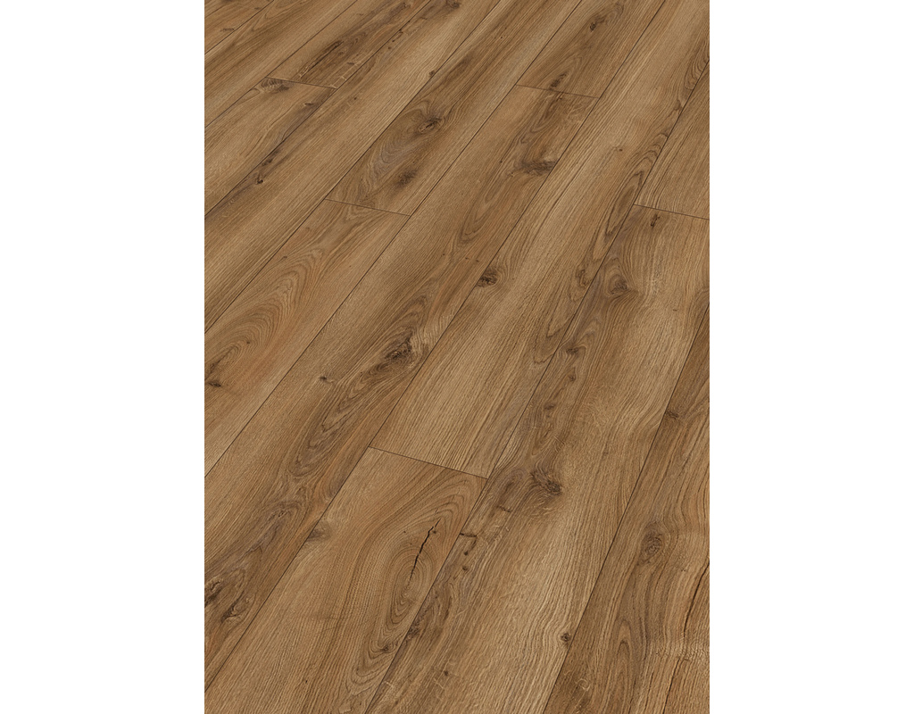 next DL 500 S 7130 Schlosseiche muskat