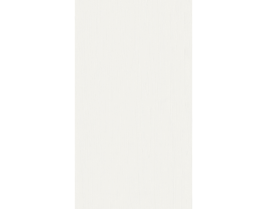 Dekorpaneele MeisterPaneele. terra DP 250 2600x250x12mm 20102 Snow white wood