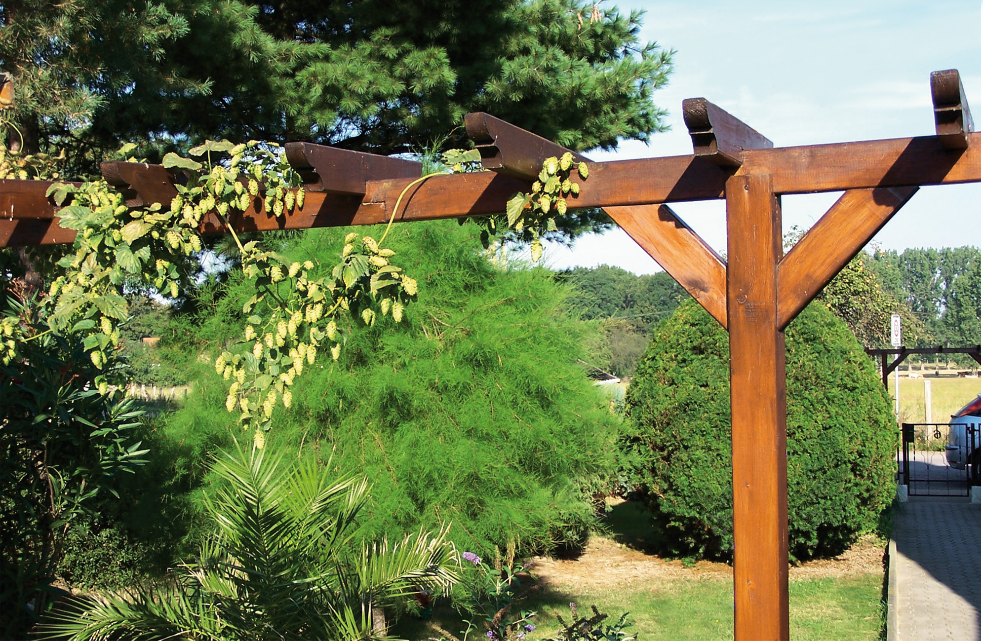 Pergola Mira Pfosten