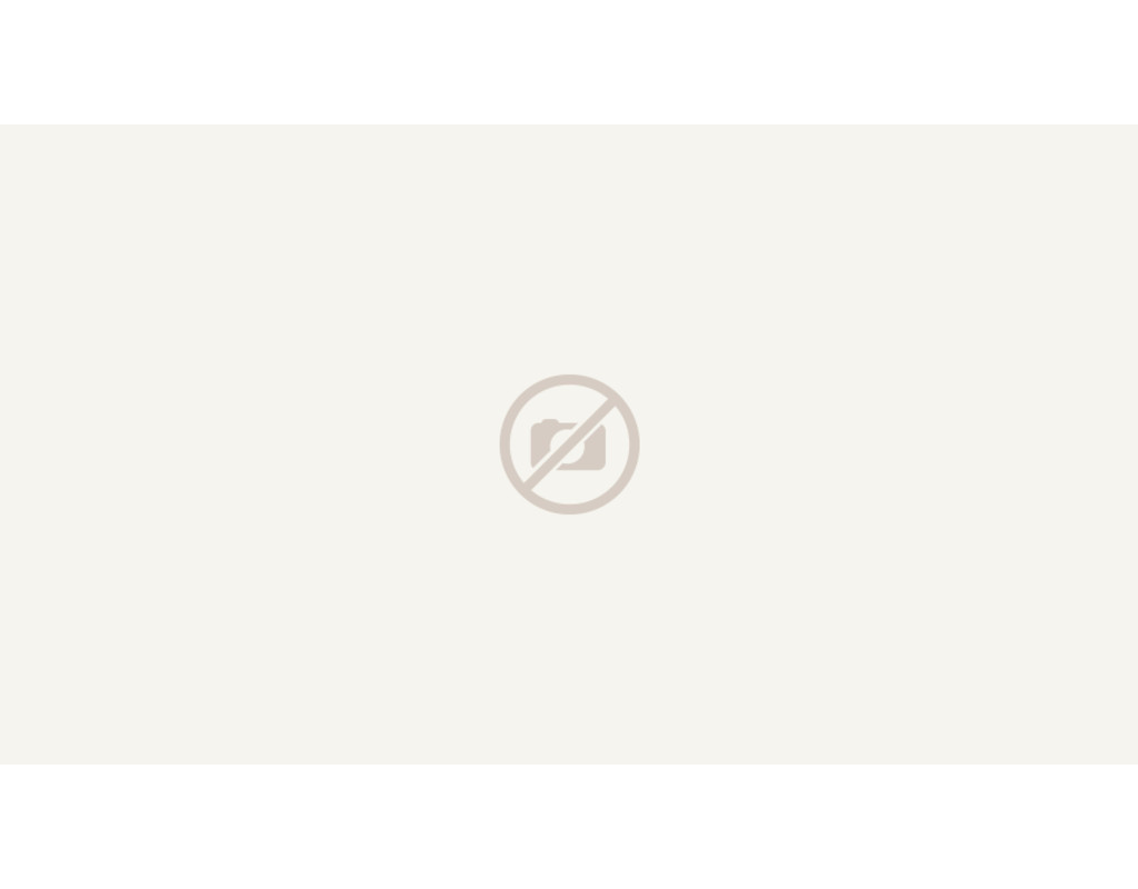 Vinyl Basic Rigid 4.0 - zum Klicken Eiche Rimini 1220x180x4mm
