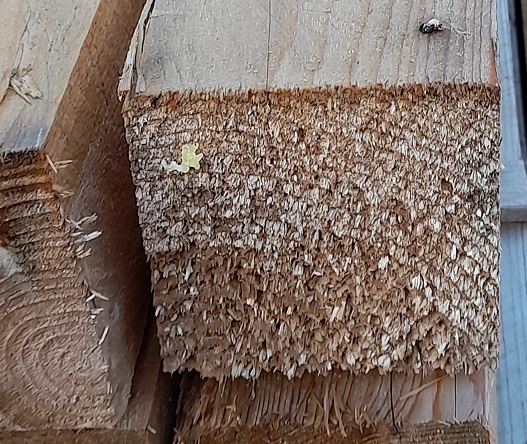 5 Stück Eiche Kantholz – 40 X 60 X 100 Cm – Sägerau, Als Pfosten Oder Balken – Aus Deutschland