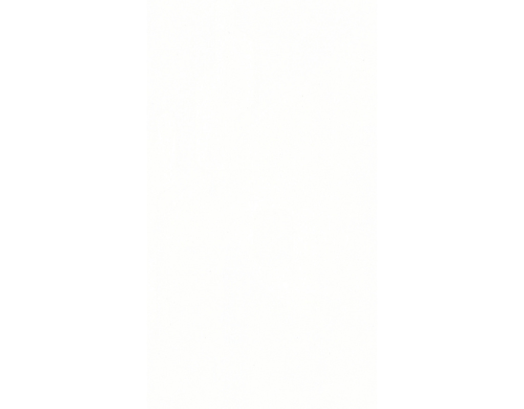 Dekorpaneele MeisterPaneele. tertio DP 200 2600x200x9,5mm 20128 Swedish white