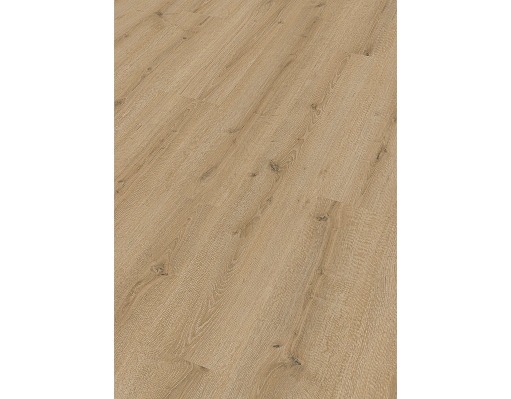 laminate LC 150 7141 Turmeiche hell