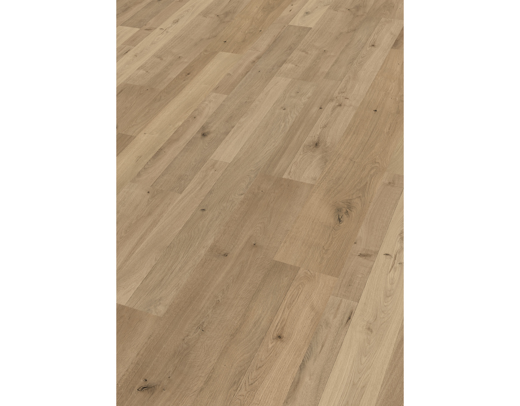 laminate LC 55 S 6675 Natural Oak