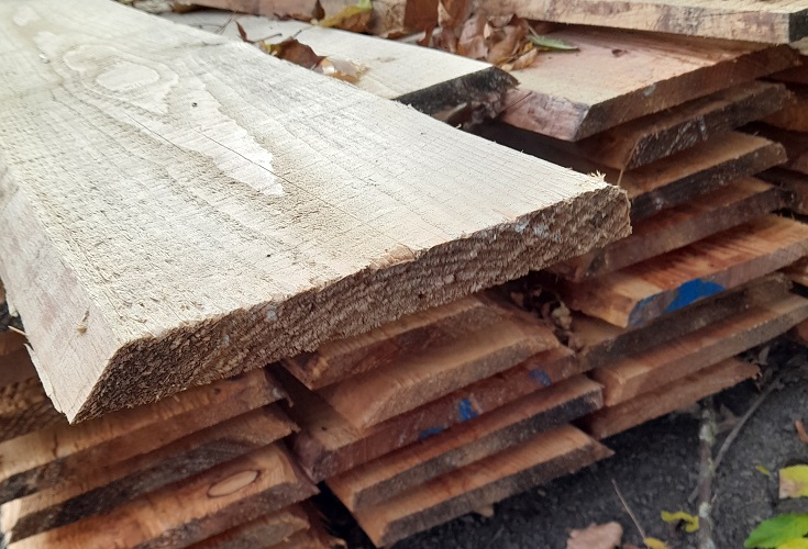 Zaunbrett unbesäumt  europäische Lärche