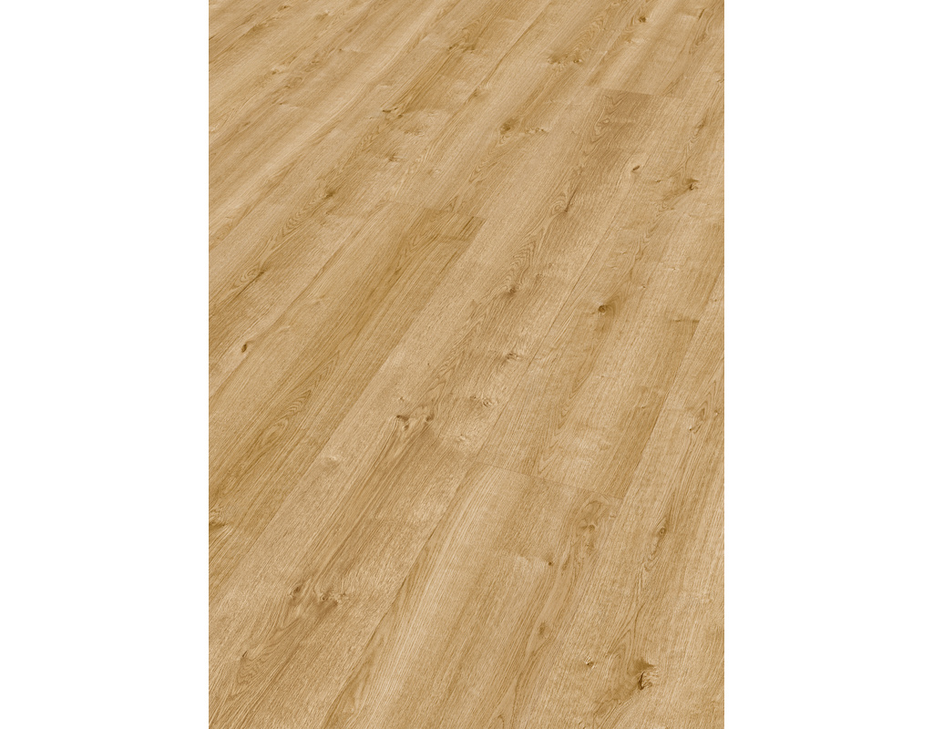 next DL 500 S 6832 Bauerneiche natur