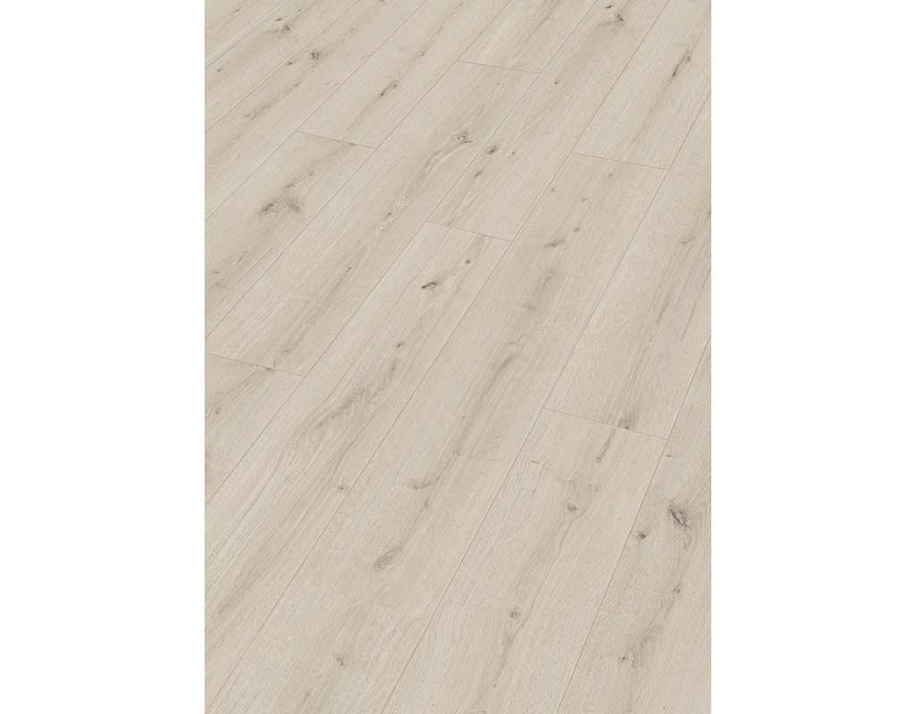 comfort DD 600 S 7119 Turmeiche