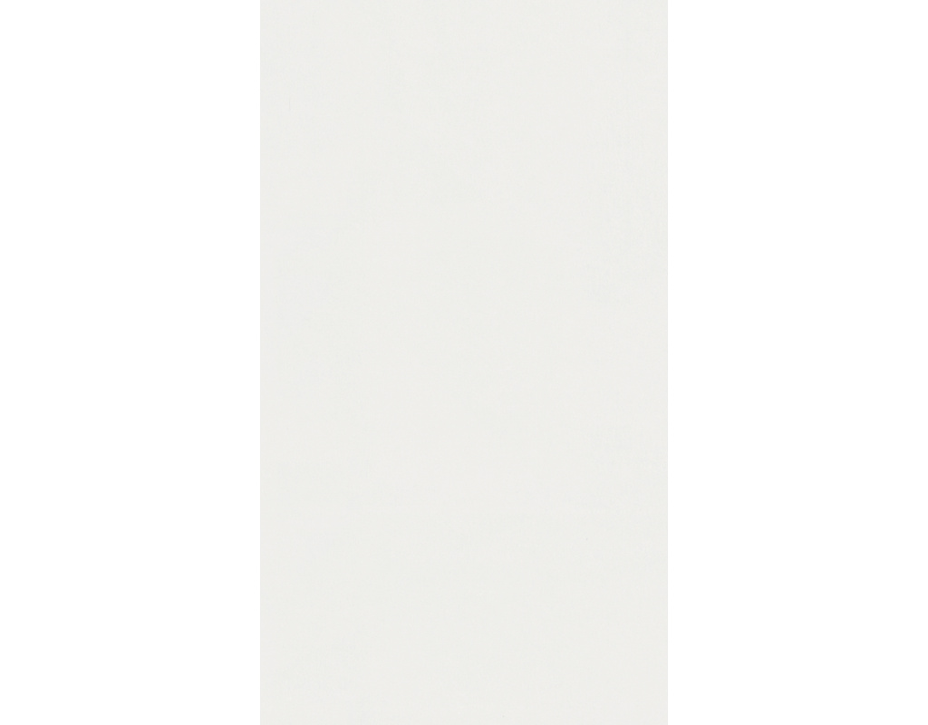 Dekorpaneele Classic Bocado 250 Uni weiß glänzend DF