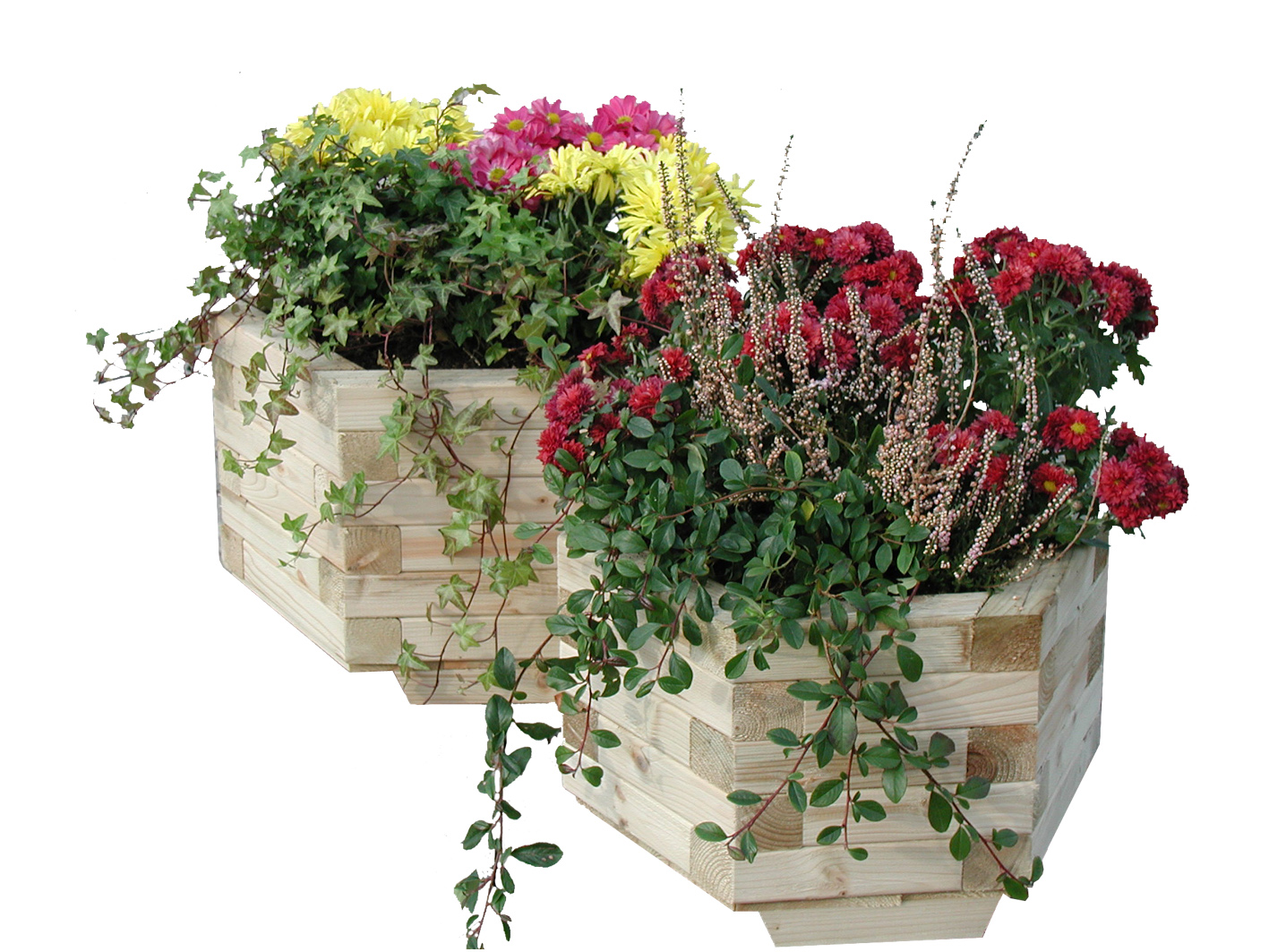 Set Hortsee sechseckig