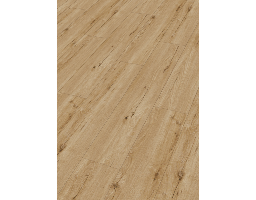 rigid  RD 300 7395 Eiche Springdale