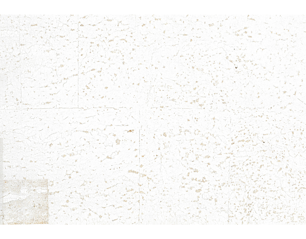 Wanddesign, Wandkork coloriert Paz Struktur, Schneeweiß 600x450x3mm