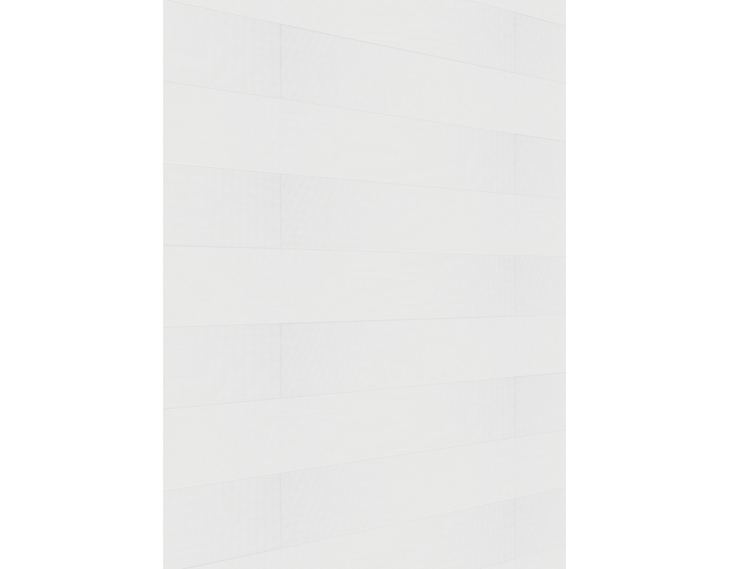 Dekorpaneele MeisterPaneele. terra DP 250 3300x250x12mm 20101 White mesh