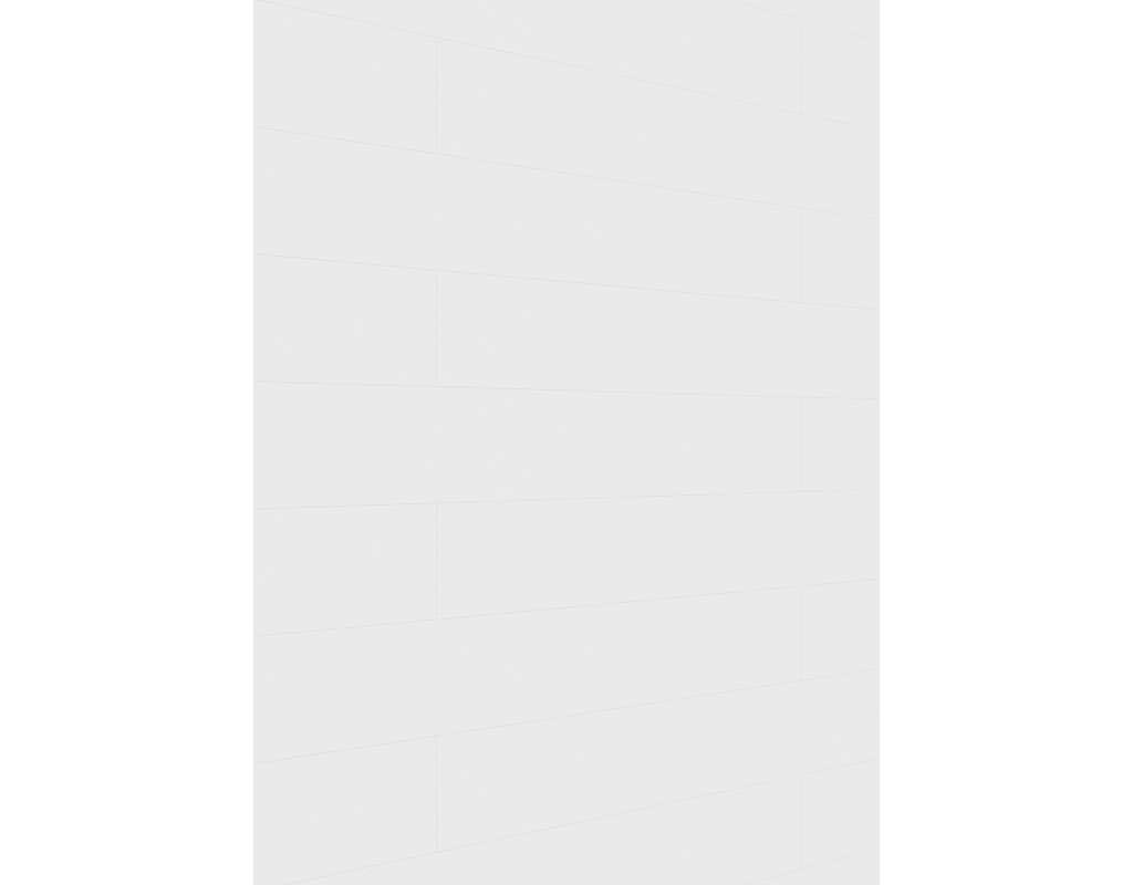 Dekorpaneele MeisterPaneele. terra DP 250 1280x250x12mm 20097 White pearl