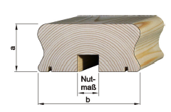 Held Handlauf flach 45x95 Fichte