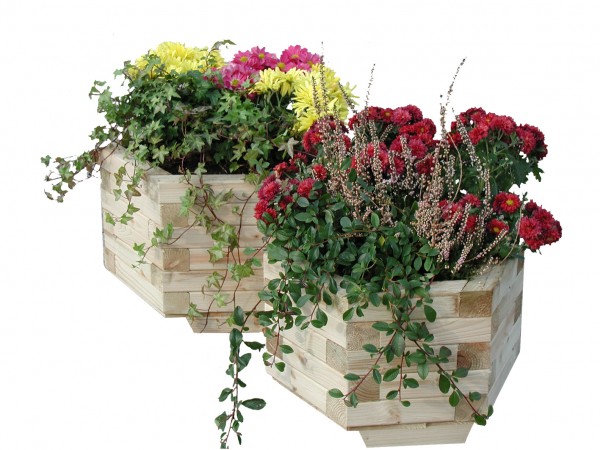 Set Hortsee sechseckig