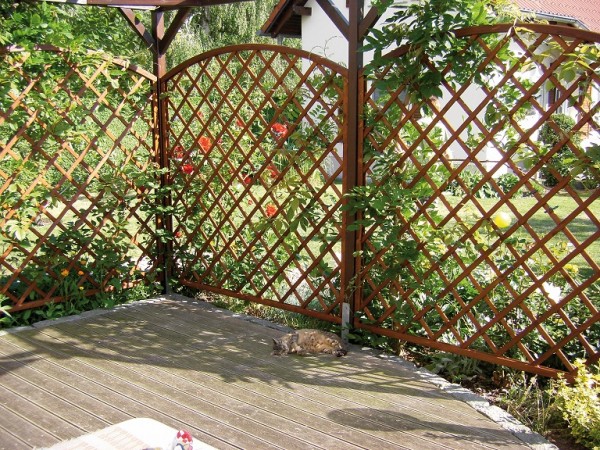 Napoli 100x180/160cm