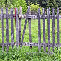 Zaunlatte 6cm breit gekegelt, KDI grün