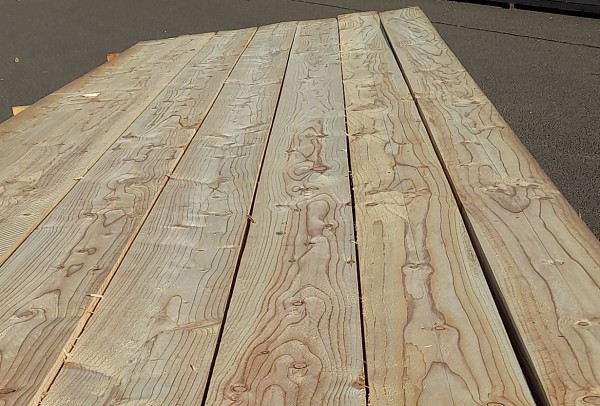 Schalung dtsch. Lärche 24x140mm